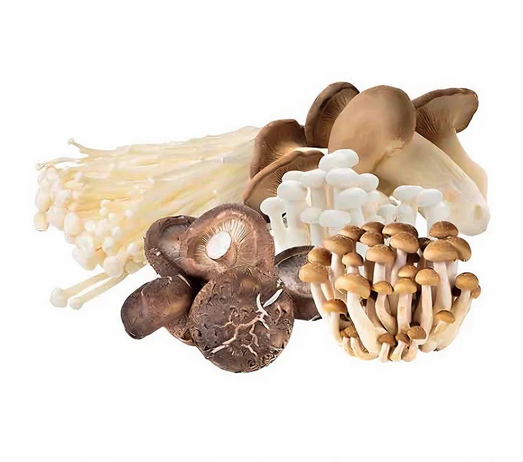 Frisch Pilze Mischung 400g