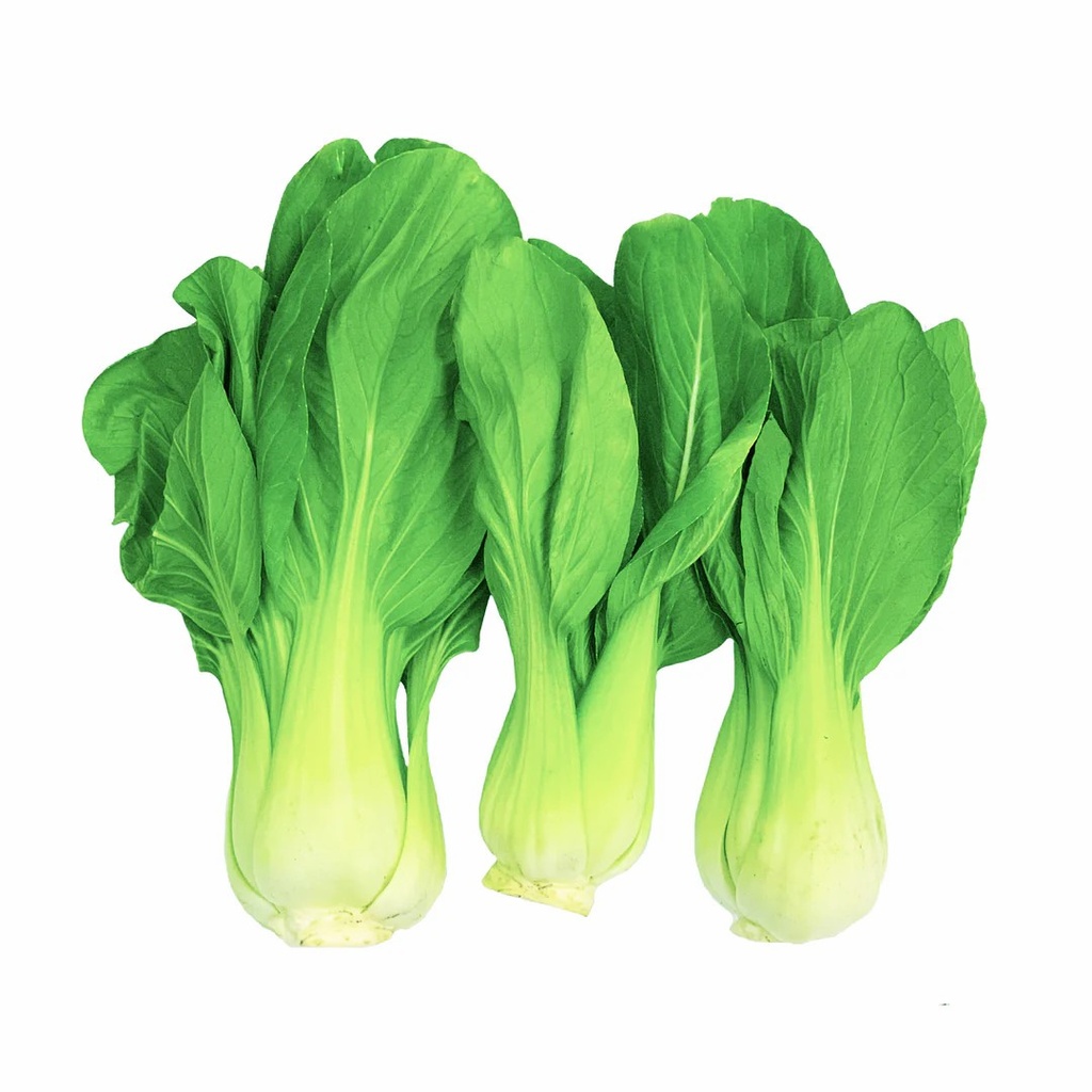 Frisch Shanghai Pak Choi