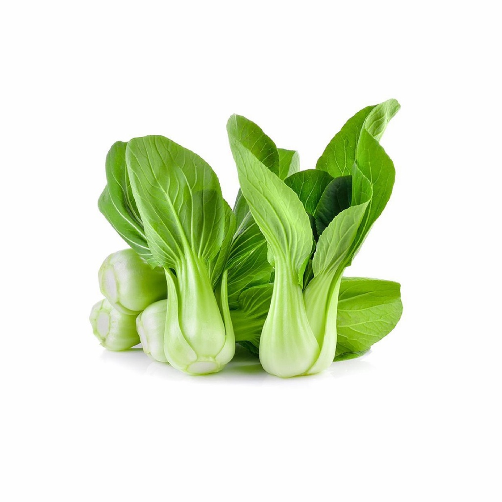 Frisch Shanghai Pak Choi Mini