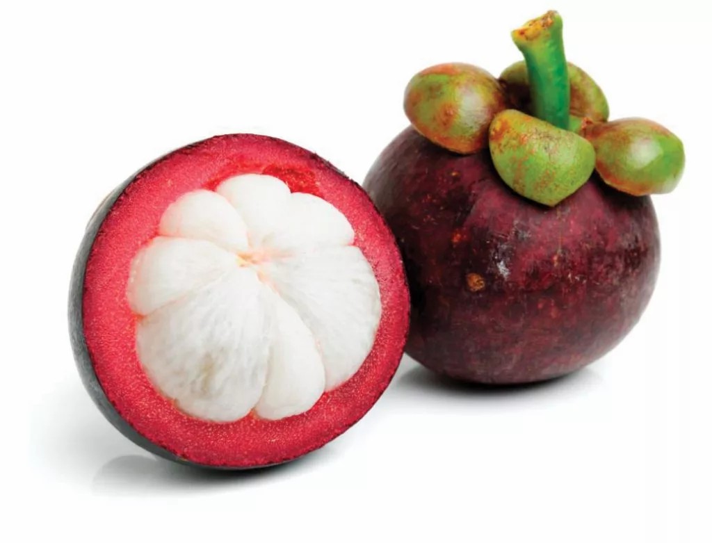 Mangostan 1 Stk.