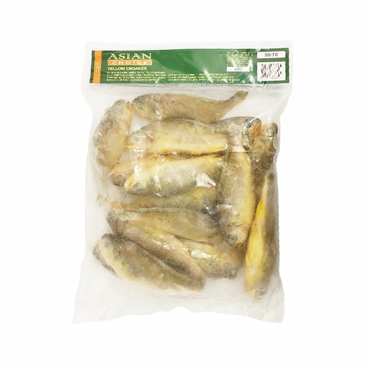 [10285] Asian Choice Gelber Umberfisch 50/70 800g