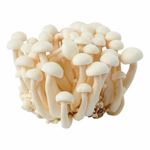 [10927] 新鲜白玉菇 150g