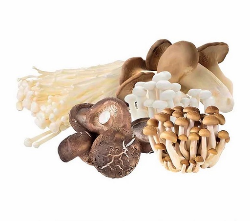 [10930] Frisch Pilze Mischung 400g