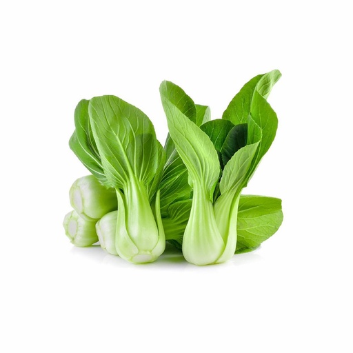 [10933] Frisch Shanghai Pak Choi Mini