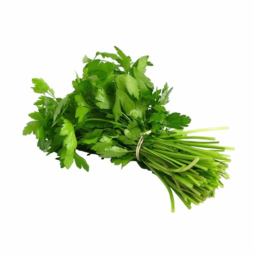 [10943] 新鲜香菜 150g