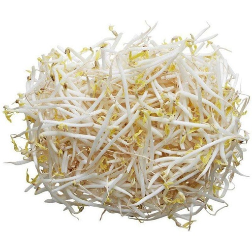 [10944] 新鲜绿豆芽 0