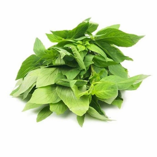 [11051] Thailändisches Basilikum Würfel 120g