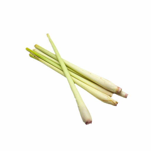 [11244] Frische Zitronengras 100g