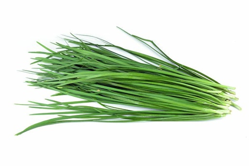 [11402] Frischer Knoblauch-Schnittlauch 1 bund